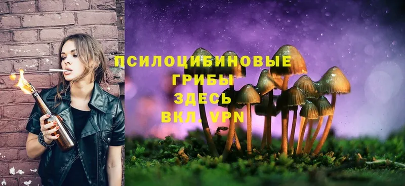 гидра ссылка  Куйбышев  Галлюциногенные грибы MAGIC MUSHROOMS  где купить наркоту 